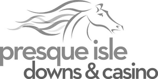 PRESQUE ISLE DOWNS & CASINO
