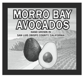 MORRO BAY AVOCADOS HAND GROWN IN SAN LUIS OBISPO COUNTY, CALIFORNIA