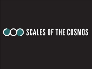 SCALES OF THE COSMOS