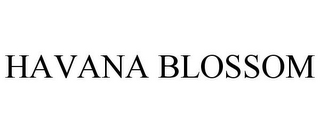 HAVANA BLOSSOM