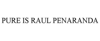 PURE IS RAUL PENARANDA