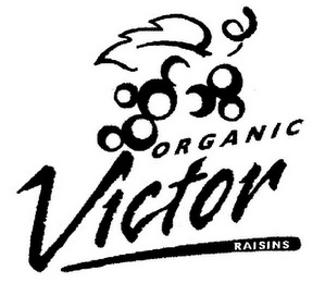 VICTOR ORGANIC RAISINS