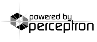 POWERED BY PERCEPTRON