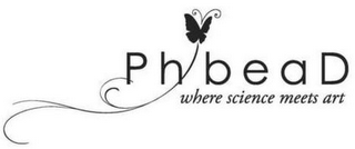 PHBEAD WHERE SCIENCE MEETS ART