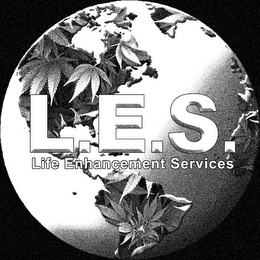 L.E.S. LIFE ENHANCEMENT SERVICES