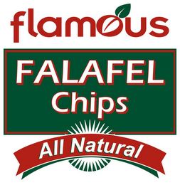 FLAMOUS FALAFEL CHIPS ALL NATURAL