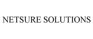 NETSURE SOLUTIONS