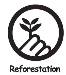 REFORESTATION