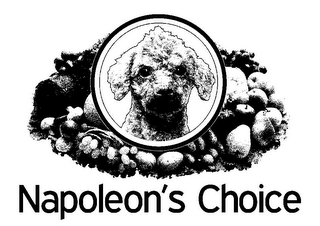 NAPOLEON'S CHOICE