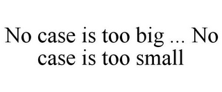 NO CASE IS TOO BIG ... NO CASE IS TOO SMALL