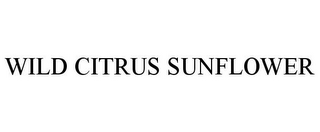 WILD CITRUS SUNFLOWER