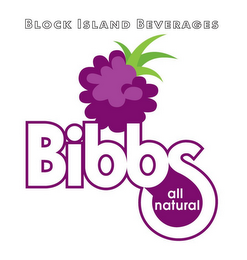 BIBBS ALL NATURAL BLOCK ISLAND BEVERAGES