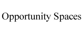 OPPORTUNITY SPACES