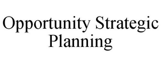 OPPORTUNITY STRATEGIC PLANNING