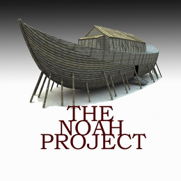 THE NOAH PROJECT