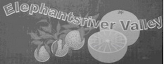 ELEPHANTSRIVER VALLEY