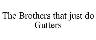 THE BROTHERS THAT JUST DO GUTTERS