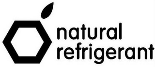 NATURAL REFRIGERANT