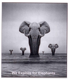 WE EXPLORE FOR ELEPHANTS...