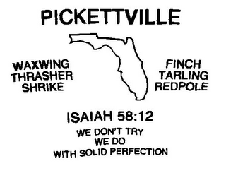 PICKETTVILLE ISAIAH 58:12 WE DONT TRY WE DO WITH SOLID PERFECTION WAXWING THRASHER SHRIKE FINCH TARLING REDPOLE