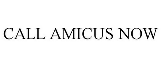 CALL AMICUS NOW