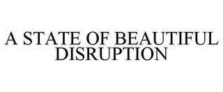 A STATE OF BEAUTIFUL DISRUPTION