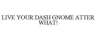 LIVE YOUR DASH GNOME ATTER WHAT!