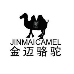 JINMAICAMEL