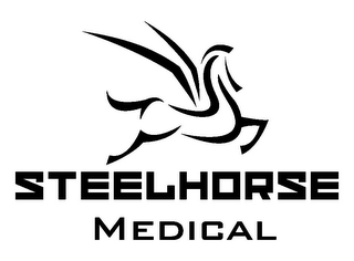 STEELHORSE MEDICAL