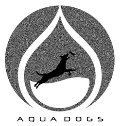 AQUA DOGS