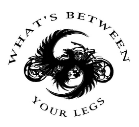 WHAT'S BETWEEN YOUR LEGS