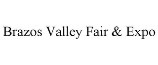 BRAZOS VALLEY FAIR & EXPO