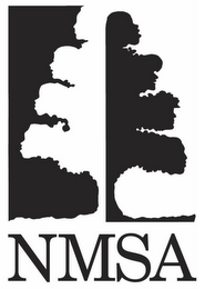 NMSA