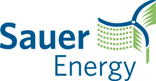 SAUER ENERGY