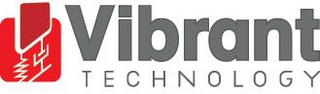 VIBRANT TECHNOLOGY