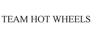TEAM HOT WHEELS