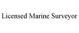 LICENSED MARINE SURVEYOR