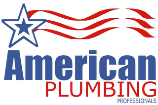 AMERICAN PLUMBING PROFESSIONALS