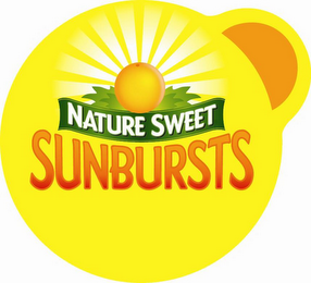 NATURE SWEET SUNBURSTS