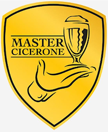 MASTER CICERONE