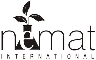 NEMAT INTERNATIONAL