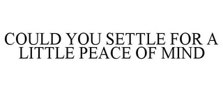 COULD YOU SETTLE FOR A LITTLE PEACE OF MIND