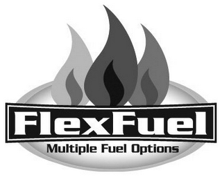 FLEXFUEL MULTIPLE FUEL OPTIONS