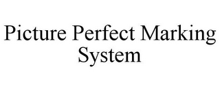 PICTURE PERFECT MARKING SYSTEM