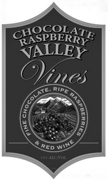 CHOCOLATE RASPBERRY VALLEY VINES FINE CHOCOLATE & RED WINE 14% ALC./VOL