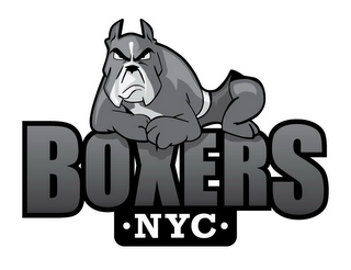 BOXERS NYC