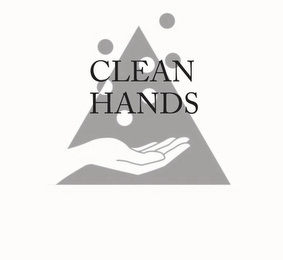 CLEAN HANDS