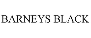 BARNEYS BLACK