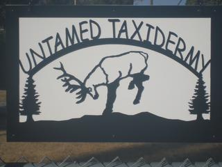 UNTAMED TAXIDERMY