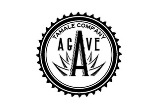 AGAVE TAMALE COMPANY